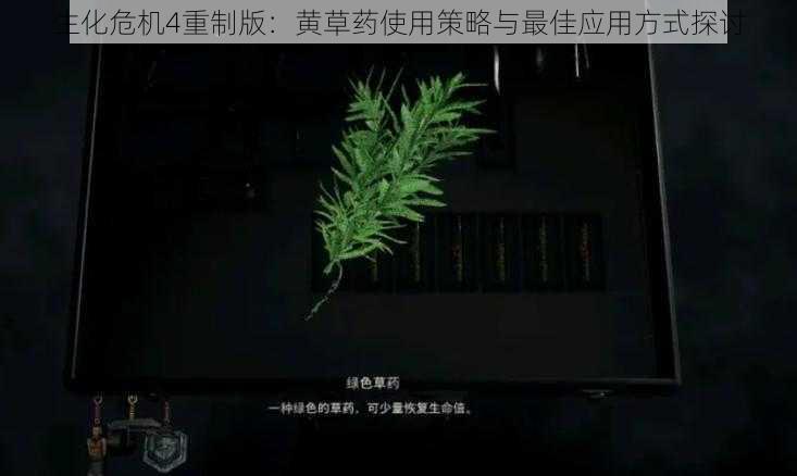 生化危机4重制版：黄草药使用策略与最佳应用方式探讨