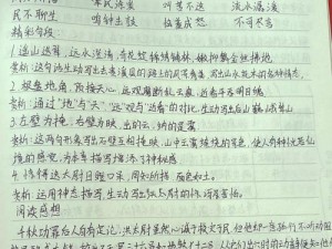 《水浒Q传历练副本第四章第三关攻略：角色搭配与战斗精要分析》