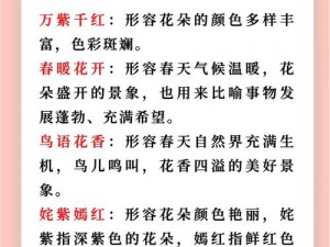 成语小秀才红花绽放：揭示其独特功能与魅力所在