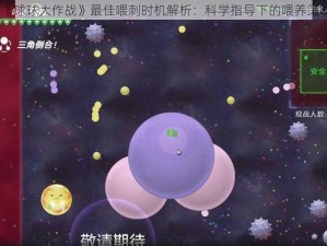 《球球大作战》最佳喂刺时机解析：科学指导下的喂养策略