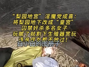 园产乱人乱偷精品视频、园产乱人乱偷精品视频，究竟是道德的缺失还是人性的沦丧？