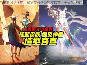 瑶的皮肤遇见神鹿：揭秘其价格及购买指南，全面解析皮肤价值