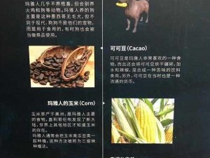 以千年之旅为背景的食材获取途径探秘之旅——食材传承的珍贵之秘