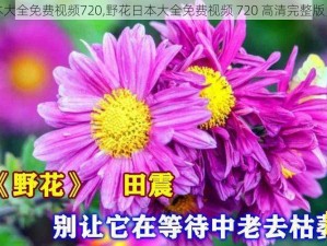 野花日本大全免费视频720,野花日本大全免费视频 720 高清完整版，你懂的