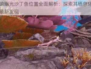 天谕幽光沙丁鱼位置全面解析：探索其栖息环境与最新发现