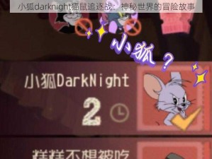 小狐darknight猫鼠追逐战：神秘世界的冒险故事