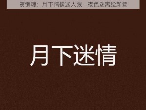 夜销魂：月下情愫迷人眼，夜色迷离绘新章