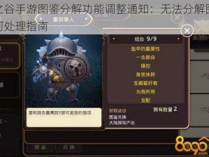 龙之谷手游图鉴分解功能调整通知：无法分解图鉴如何处理指南