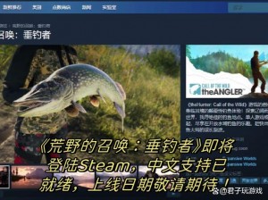 荒野垂钓者的呼唤：配置解析与指南