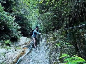 荒野探索：未知世界的冒险与挑战之旅，揭秘自然奥秘与原始风貌