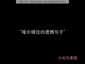 遗憾之至：真相与诱惑之间的沉默陷阱带字图片