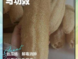 双生怨丝瓜瓤道具使用详解：实用指南带你领略丝瓜瓤道具的魅力与用途