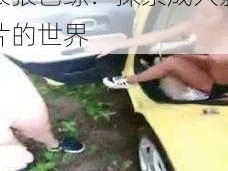 AV狠狠色综,AV 狠狠色综：探索成人影片的世界