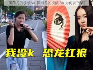 国燕龙的视频IVK-国燕龙的视频 IVK 为何被下架？