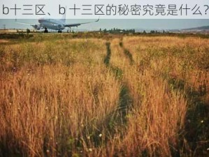 b十三区、b 十三区的秘密究竟是什么？