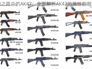 黎明之路中的AK47：全面解析AK47的属性数据汇总