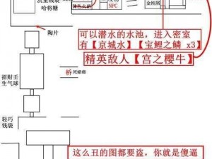 只狼天守阁下层攻略详解：探索隐秘路径，轻松抵达目标地点