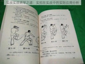 实战实战武学之道：实招在实战中的实际应用分析