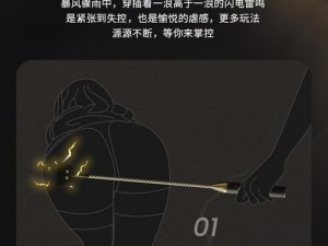 宝贝夹好上课h玩具调教—宝贝夹好上课，h 玩具调教指南