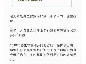 关于寻找守护者为什么下架了的深度探究与原因解析