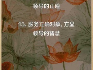 官人我想追求的理想领导之道：智慧决策与为民服务之心探索