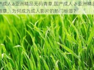 国产成人a亚洲精品无码青草,国产成人 a 亚洲精品无码青草，为何成为成人影片的热门标签？