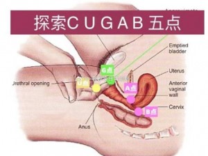 探索J啊vAPARSERHD高潮,如何探索 J啊 vAPARSERHD 高潮？