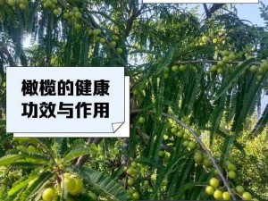 再刷一把：揭秘15层坏掉装置的多重功效及实际应用价值介绍