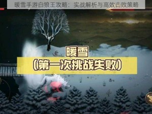 暖雪手游白狼王攻略：实战解析与高效击败策略