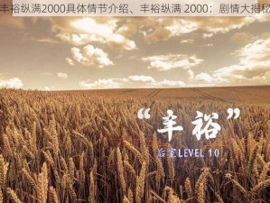 丰裕纵满2000具体情节介绍、丰裕纵满 2000：剧情大揭秘