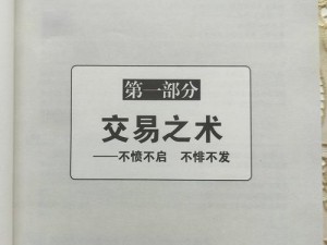 商战创世纪：揭秘获取美金策略，掌握大量资金获取之道