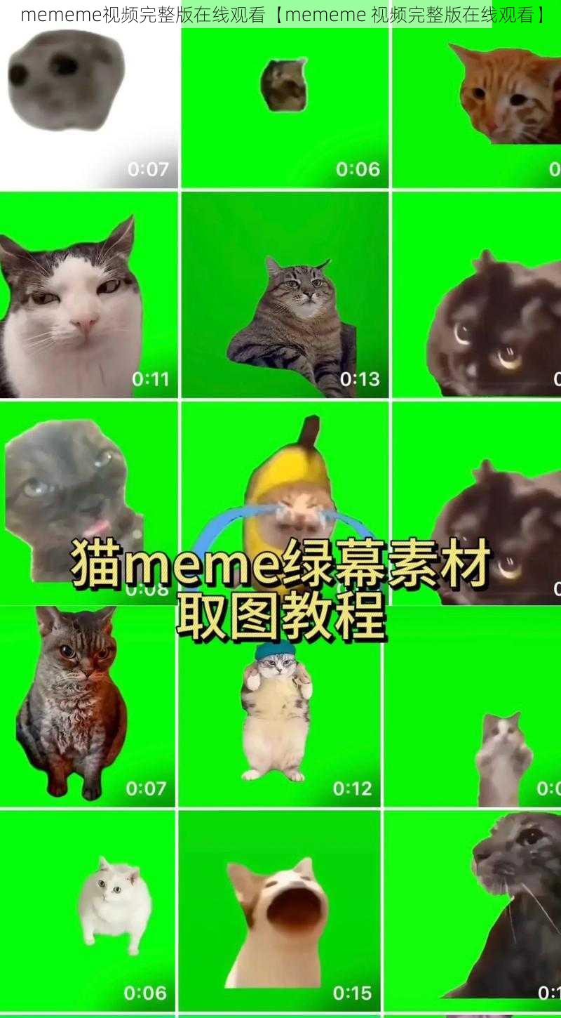 mememe视频完整版在线观看【mememe 视频完整版在线观看】