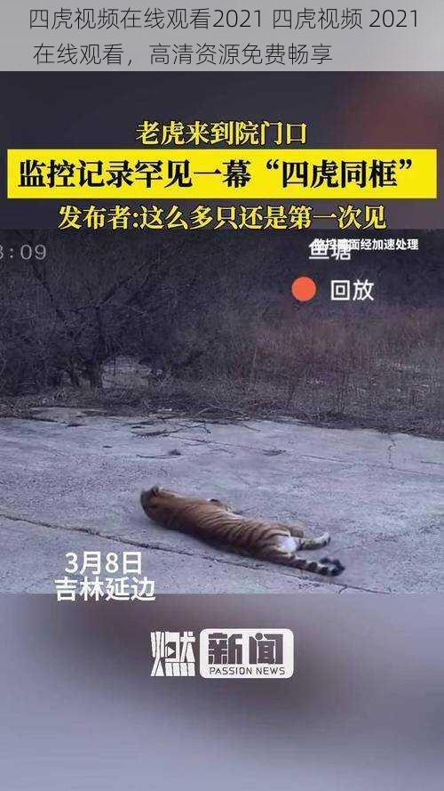 四虎视频在线观看2021 四虎视频 2021 在线观看，高清资源免费畅享