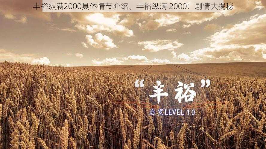 丰裕纵满2000具体情节介绍、丰裕纵满 2000：剧情大揭秘