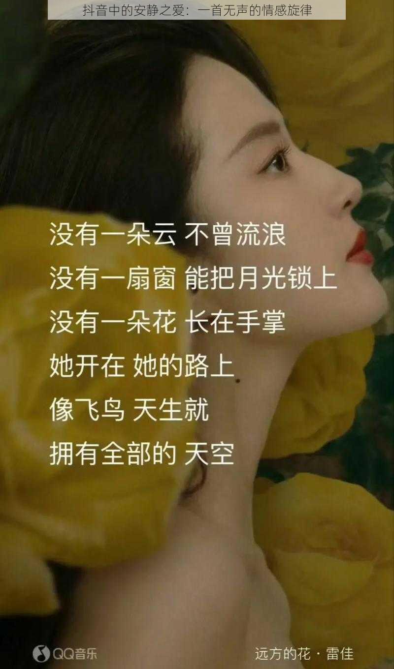 抖音中的安静之爱：一首无声的情感旋律