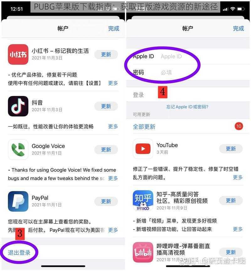 PUBG苹果版下载指南：获取正版游戏资源的新途径