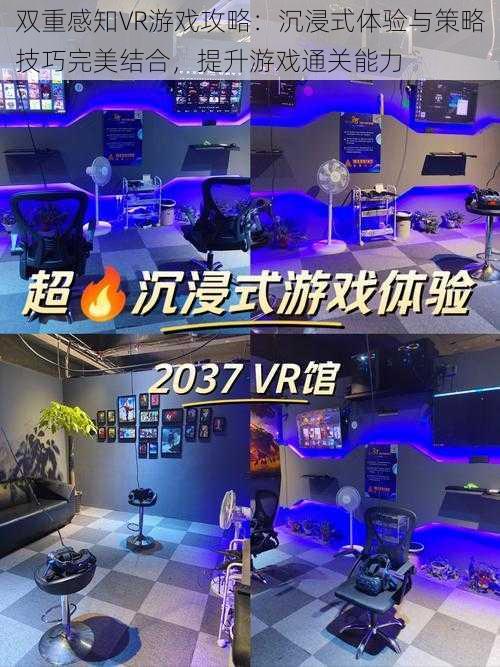 双重感知VR游戏攻略：沉浸式体验与策略技巧完美结合，提升游戏通关能力