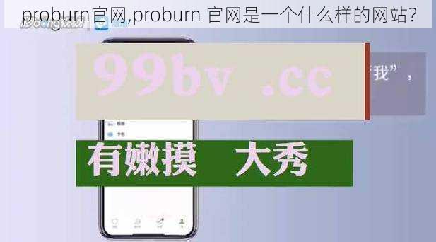 proburn官网,proburn 官网是一个什么样的网站？