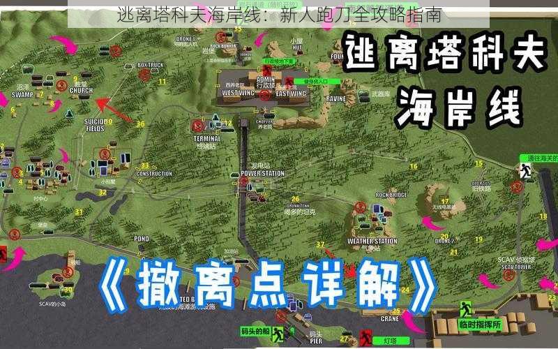 逃离塔科夫海岸线：新人跑刀全攻略指南