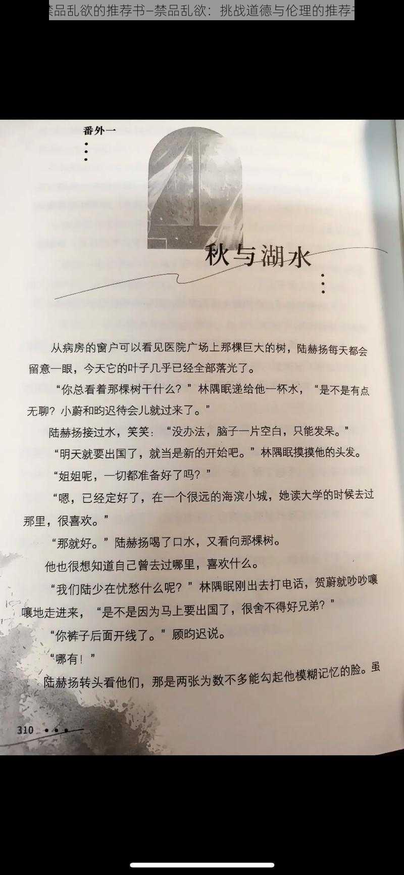 禁品乱欲的推荐书—禁品乱欲：挑战道德与伦理的推荐书