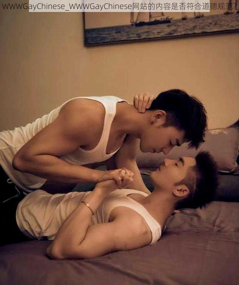 WWWGayChinese_WWWGayChinese网站的内容是否符合道德规范？