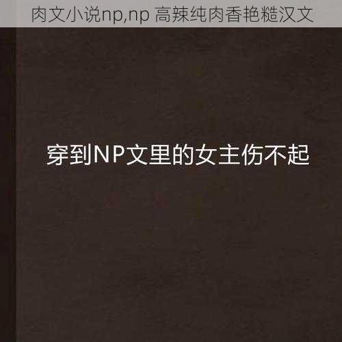 肉文小说np,np 高辣纯肉香艳糙汉文