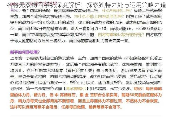 名将无双物品系统深度解析：探索独特之处与运用策略之道