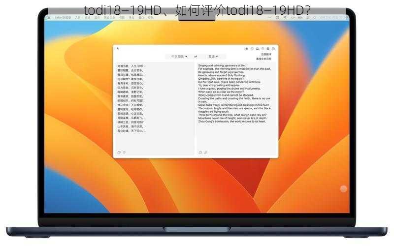 todi18—19HD、如何评价todi18—19HD？