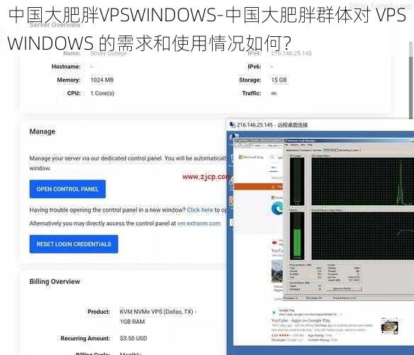 中国大肥胖VPSWINDOWS-中国大肥胖群体对 VPSWINDOWS 的需求和使用情况如何？