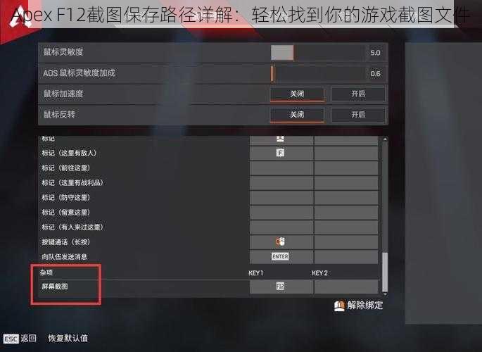 Apex F12截图保存路径详解：轻松找到你的游戏截图文件