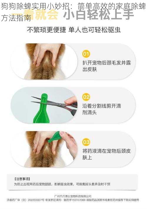 狗狗除蜱实用小妙招：简单高效的家庭除蜱方法指南