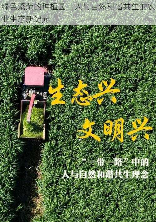 绿色繁荣的种植园：人与自然和谐共生的农业生态新纪元