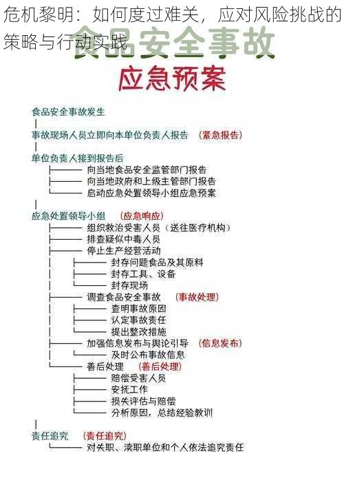 危机黎明：如何度过难关，应对风险挑战的策略与行动实践