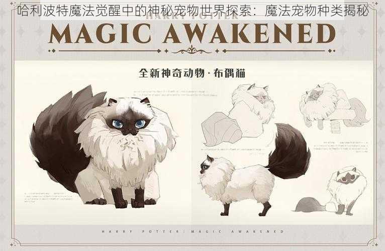 哈利波特魔法觉醒中的神秘宠物世界探索：魔法宠物种类揭秘